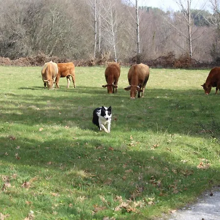 Casa Solveira Gospodarstwo wiejskie