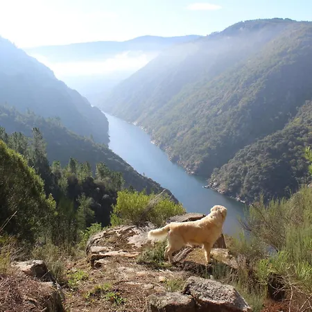 Casa Solveira O Pineiro