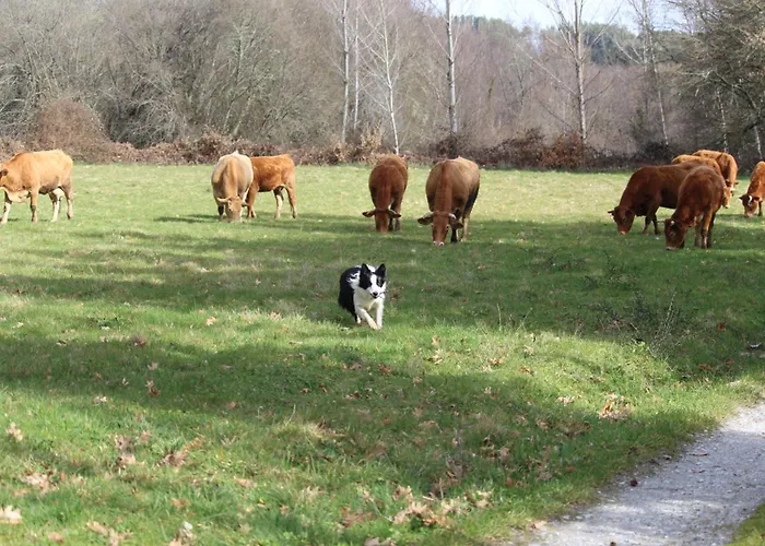 Casa Solveira Gospodarstwo wiejskie