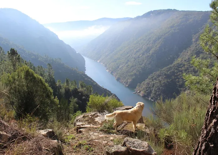 Casa Solveira O Pineiro