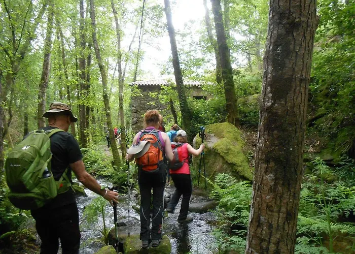 Casa Solveira O Pineiro