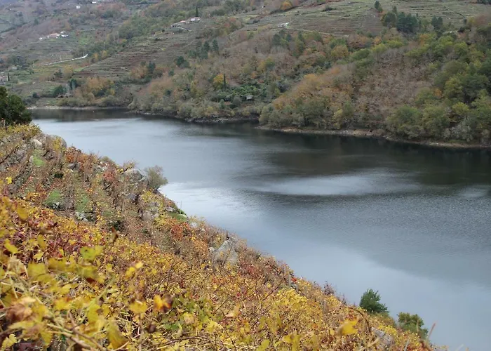 Casa Solveira Kır Evi O Pineiro